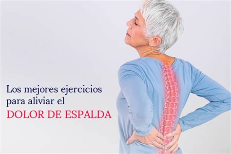 Ejercicios Para El Dolor De Espalda Aprende Institute