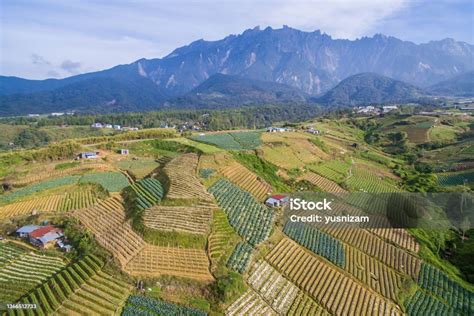 Aerial View Of Kundasang Sabah Landscape With Cabbage Farm And Mount Kinabalu At Far Background