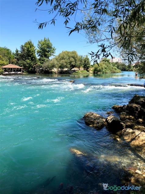 Antalya Manavgat Elalesi