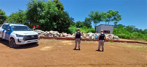 Incautaron M S De Nueve Toneladas De Soja Ilegal En La Costa De El