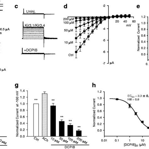 DCPIB Inhibits Kir3 1 Kir3 4 Heteromeric Currents Expressed In Oocytes