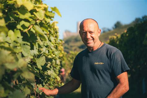 Wir Winzer Winzergenossenschaft Schriesheim