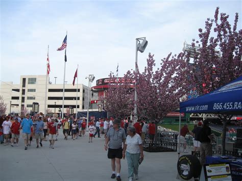 Nats320 A Washington Nationals Blog More Cherry Blossom Pictures