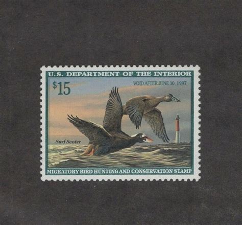 Rw Federal Duck Stamp Single Mnh Og Rw Acc United States