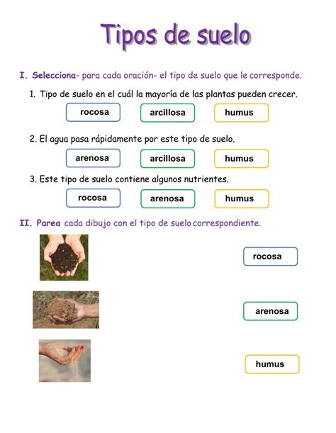 Tipos De Suelo Interactive Worksheet Tipos De Suelo Clases De Suelo