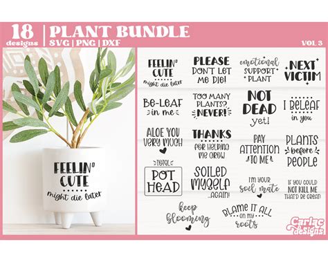 Funny Plant SVG Bundle Planter Quote Bundle Funny Plant Etsy Australia