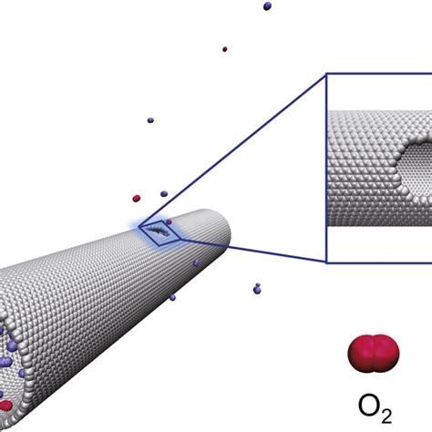 Snapshot For The Structure Gas Molecules Permeate Into The Outside