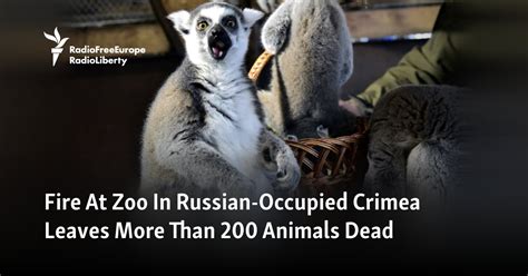 Fire At Zoo In Russian-Occupied Crimea Leaves More Than 200 Animals Dead