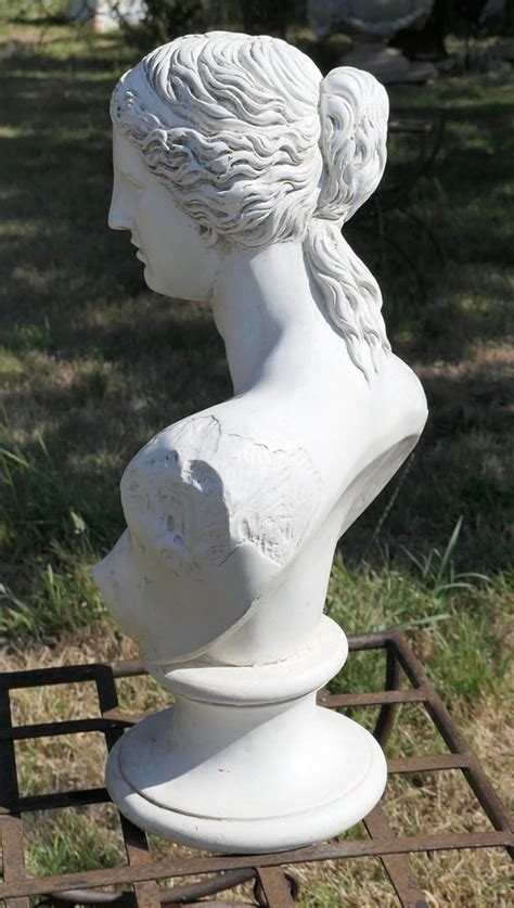 Vintage Plaster Bust Of The Venus De Milo For Sale At Pamono