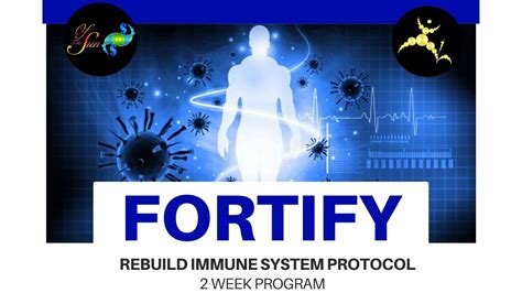 Fortify Rebuild Immune System Protocol Youtube