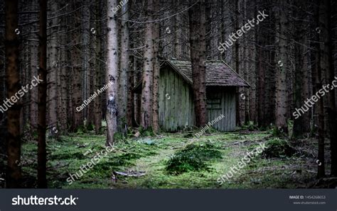 768 Mystery shack Images, Stock Photos & Vectors | Shutterstock