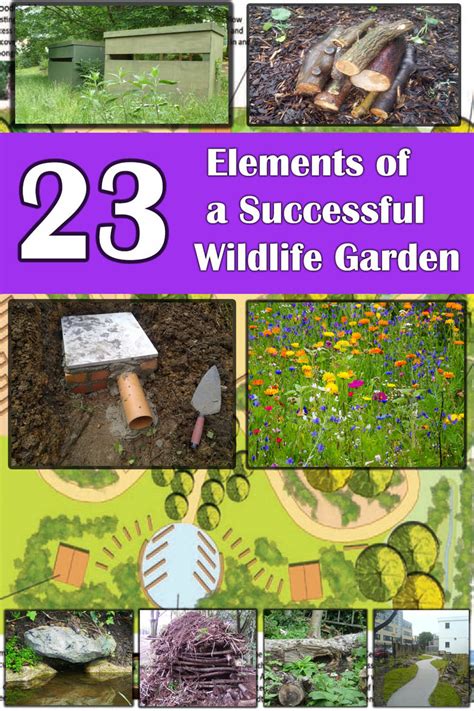 23 Ways To Create A Vibrant Wildlife Friendly Garden Buckinghamshire