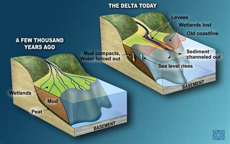 River Delta Diagram