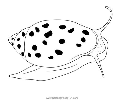 a black and white drawing of a snail with spots on it's back legs