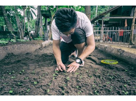 Volunteering Conservation in the Philippines - Adventure