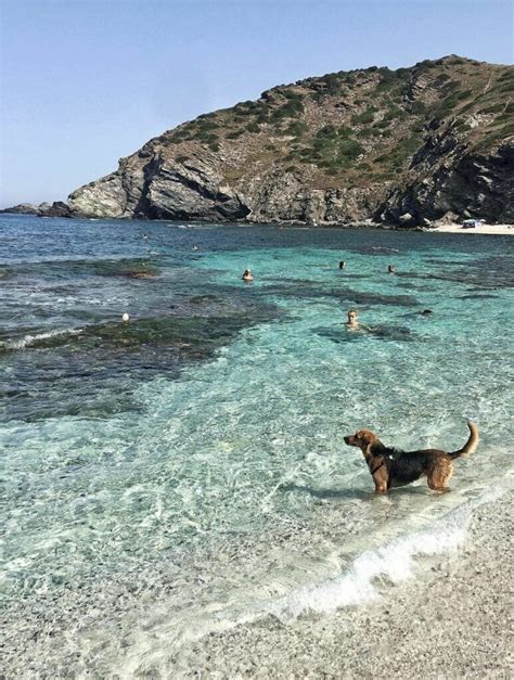 Sardinia Blue Zone: 5 Best Things Making Sardinians Longevous