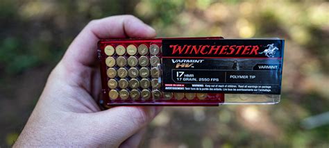 17 Hmr Ballistics Velocity Drop And More