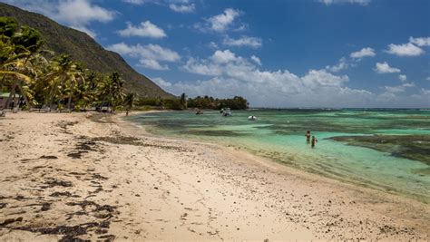 Grande Anse Beach La Desirade Guadeloupe Ultimate Guide September