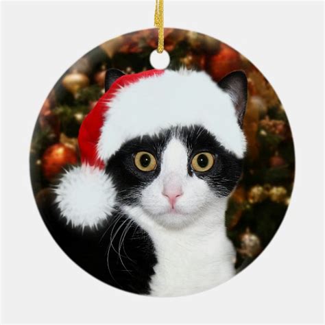 Tuxedo Cat Ts On Zazzle Ca