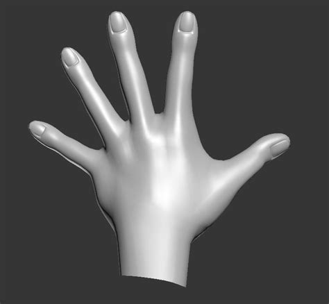 Hand Spline Model 3D Model CGTrader