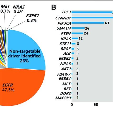 PDF Mutation Spectrum Of EGFR From 21 324 Chinese Patients With Non