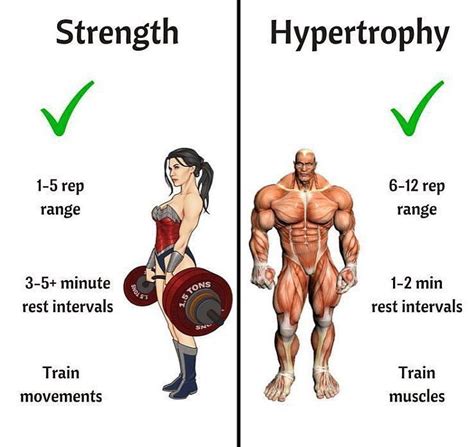 What Is Hypertrophy And How Relevant Is It To My Training