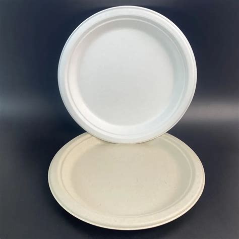 Heavy Duty Disposable Biodegradable Paper Plates Compostable