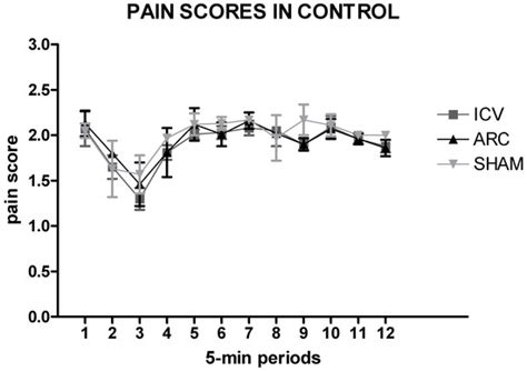 Ijms Free Full Text Effects Of Intracerebroventricular And Intra