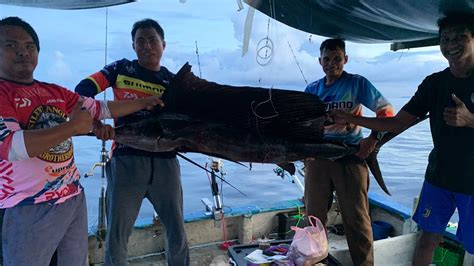 Day 2 Strike Ikan Layaran Di Takat Pegasus Tiang Layan Lawanan Ikan