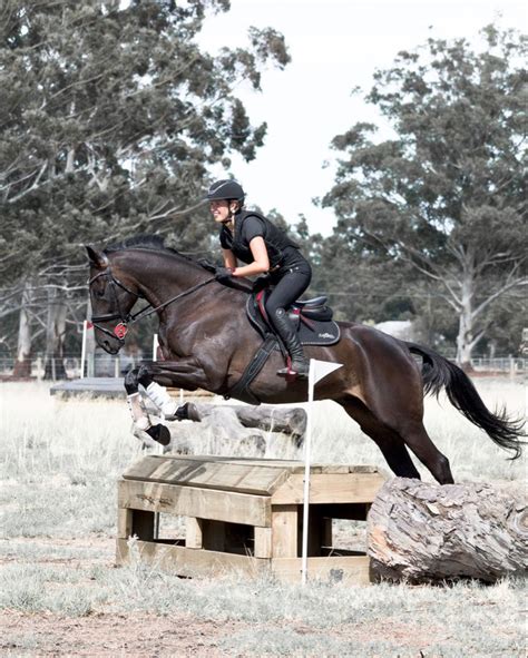 Cross country training on my horse | Cross country training, Cross ...