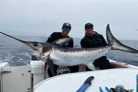 Socal Tuna And Swordfish Bite Between Storms Bdoutdoors Bloodydecks