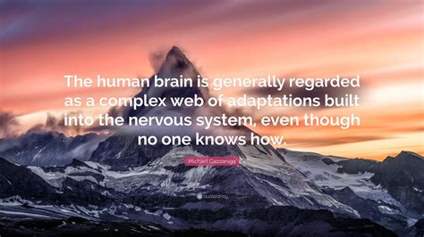 Michael Gazzaniga Quote The Human Brain Is Generally Regarded As A