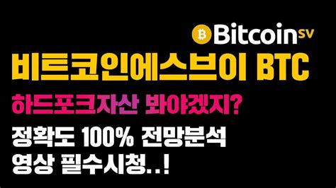 비트코인에스브이 긴급 이럴때 Btc 하드포크 봐야겠지 정확도 100 차트분석 영상필수시청 코인시황 Youtube