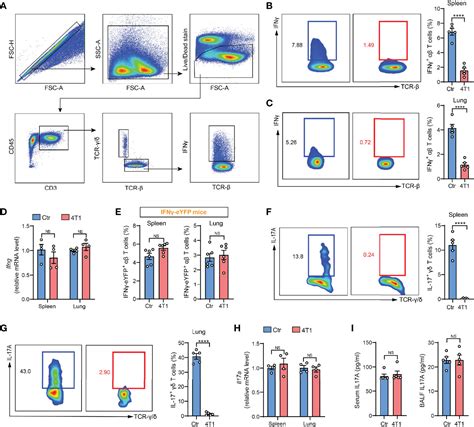 Frontiers An Artifact In Intracellular Cytokine Staining For Studying