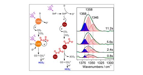 Carbon Dioxide Dimer Radical Anion As Surface Intermediate Of