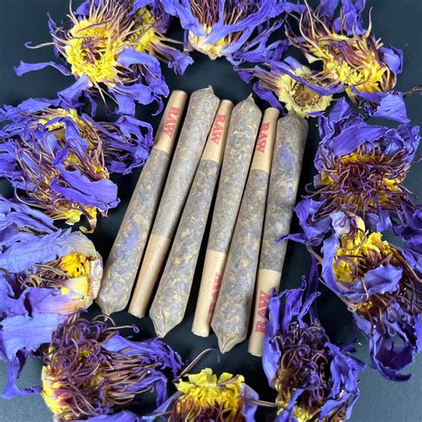 Blue Lotus Flower Pre Rolls King Size 100 Blue Lotus Flower Only