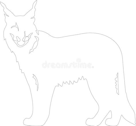 Bobcat Outline Silhouette Generative Ai Stock Vector Illustration Of