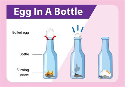 Science Experiment With Egg In A Bottle Vector Art At Vecteezy