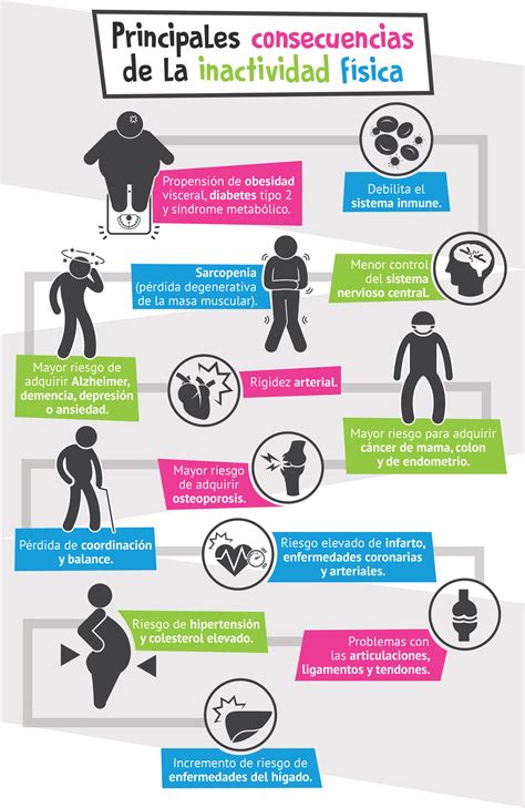 Principales Consecuencias De La Inactividad F Sica