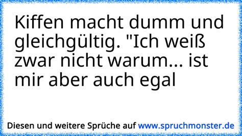 Alkohol Macht Dumm Und Gleichg Ltig Raff Ich Nicht Mir Auch Egal D