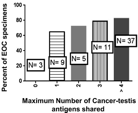 Cancer Testis Antigen Expression Is Shared Between Epithelial Ovarian