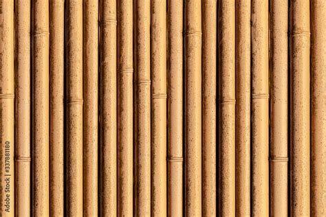 Seamless Bamboo Texture