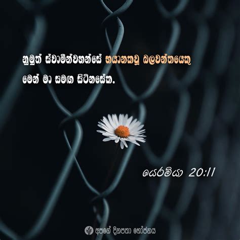 Share Odb Sinhala Our Daily Bread