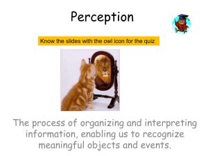 Perception Examples Power Point