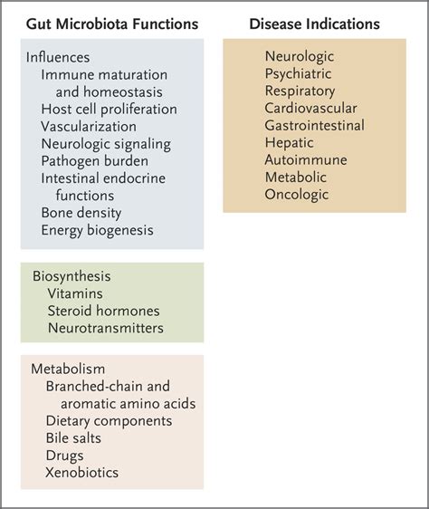 The Human Intestinal Microbiome In Health And Disease Nejm