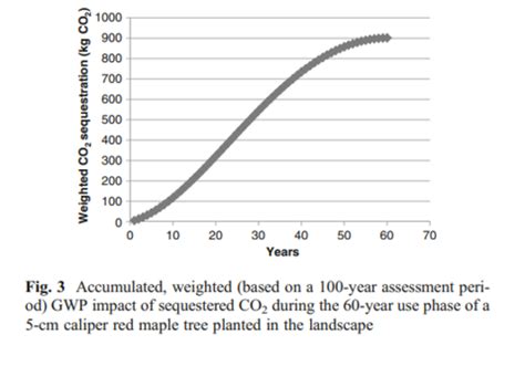 Treeapp Blog How Much Co Does One Tree Absorb