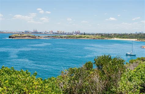 Volunteer Work Bush Regeneration Botany Bay Visitor Info Nsw