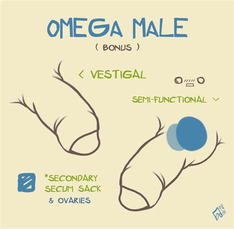 Omegaverse Diagram