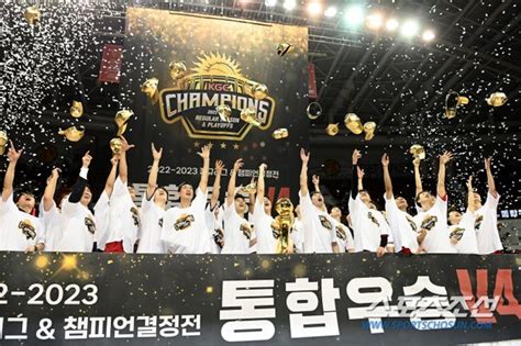 프로농구 중흥을 보았다 Kbl 2022~2023시즌 최종집계관중·입장수입 대흥행 플랫폼 관심도도 급증 네이트 스포츠