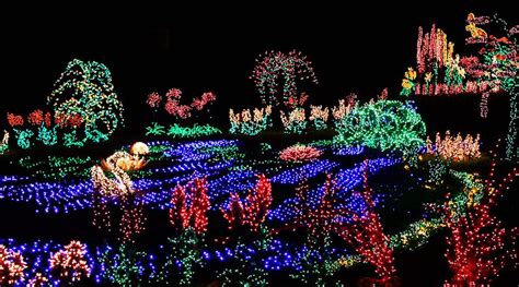 Garden d’Lights 2023 @ Bellevue Botanical Garden | Revel Communities